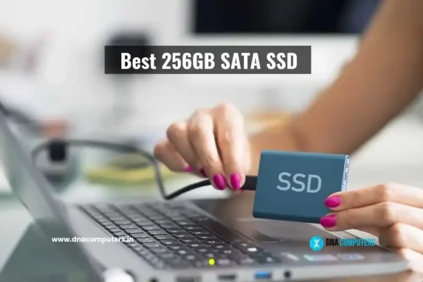 Best 256GB SATA SSD in India Best 256GB SATA SSD